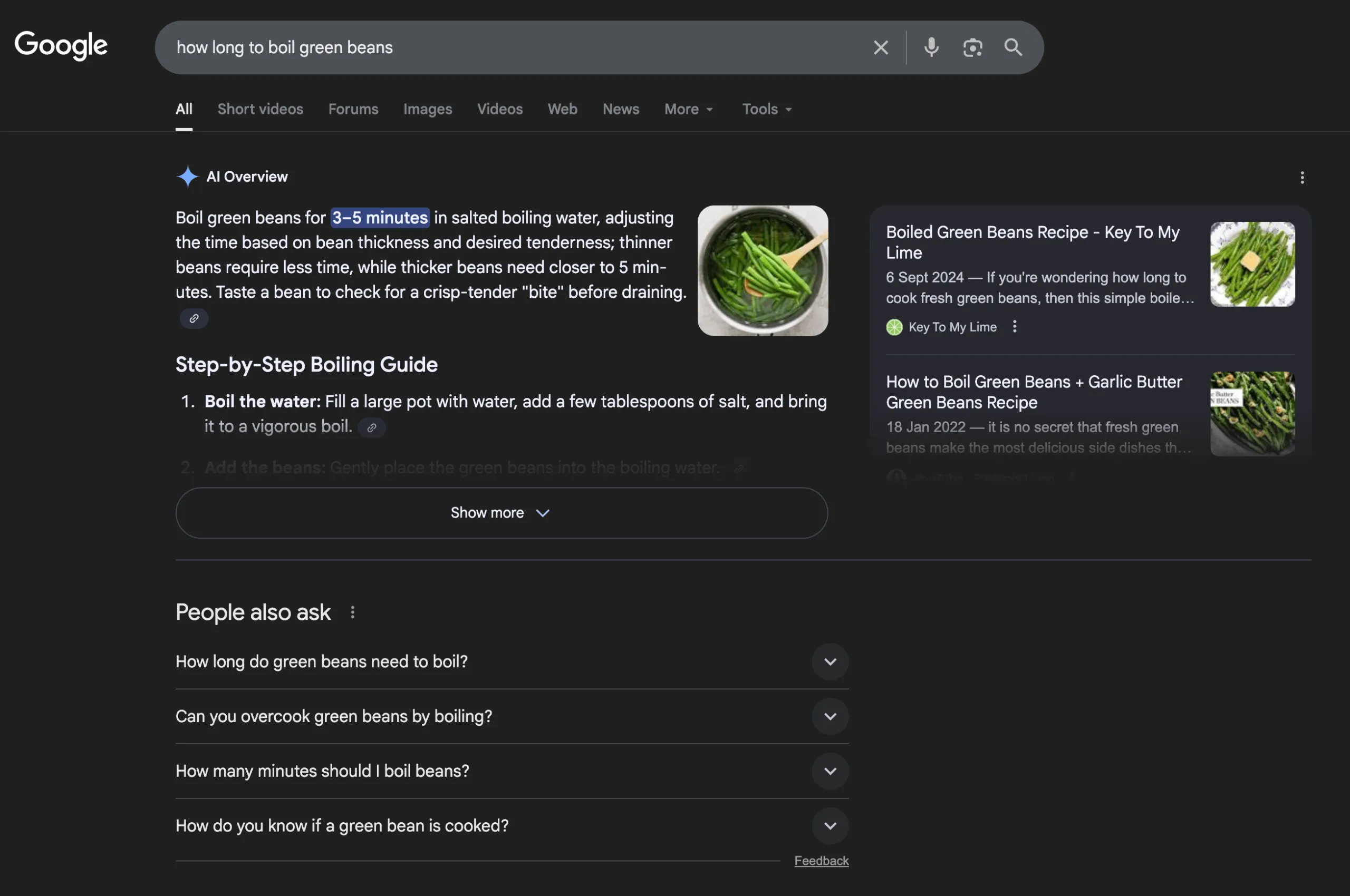 google serp with ai overview