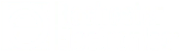 Rochester Electronics
